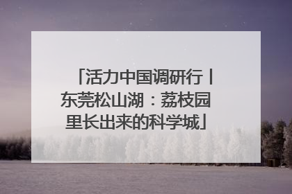 活力中国调研行丨东莞松山湖：荔枝园里长出来的科学城