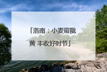 洛南：小麦覆陇黄 丰收好时节