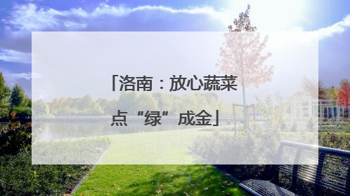 洛南：放心蔬菜点“绿”成金