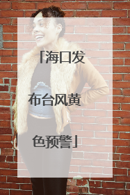 海口发布台风黄色预警
