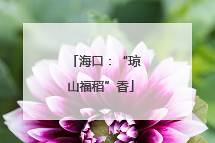 海口：“琼山福稻”香