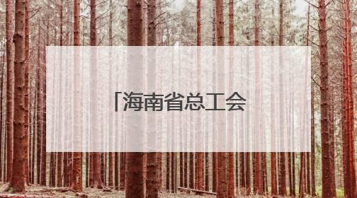 海南省总工会开展重点项目一线慰问活动