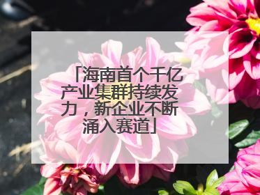 海南首个千亿产业集群持续发力，新企业不断涌入赛道