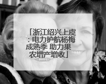 浙江绍兴上虞：电力护航杨梅成熟季 助力果农增产增收