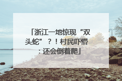 浙江一地惊现“双头蛇”？！村民吓懵：还会倒着爬
