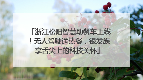 浙江松阳智慧助餐车上线！无人驾驶送热餐，银发族享舌尖上的科技关怀