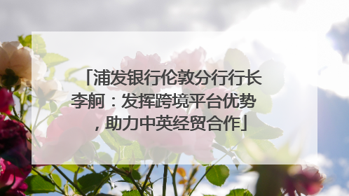 浦发银行伦敦分行行长李舸：发挥跨境平台优势，助力中英经贸合作