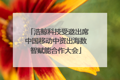浩鲸科技受邀出席中国移动中资出海数智赋能合作大会