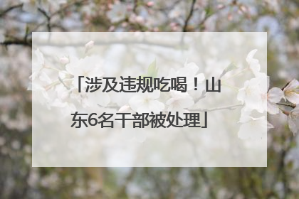 涉及违规吃喝！山东6名干部被处理