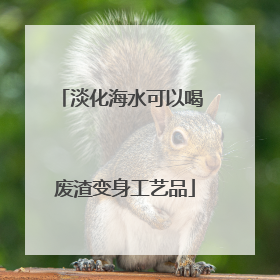 淡化海水可以喝 废渣变身工艺品