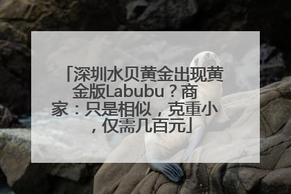深圳水贝黄金出现黄金版Labubu？商家：只是相似，克重小，仅需几百元