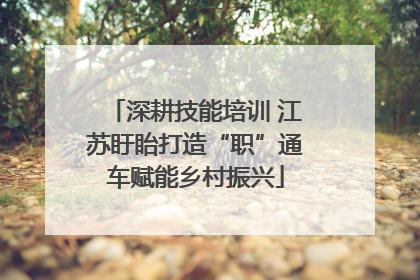 深耕技能培训 江苏盱眙打造“职”通车赋能乡村振兴