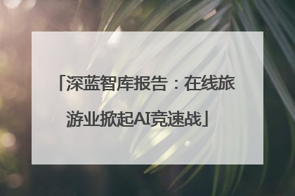 深蓝智库报告：在线旅游业掀起AI竞速战