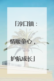 淳口镇：情暖童心，护航成长