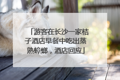 游客在长沙一家桔子酒店早餐中吃出蒸熟蟑螂，酒店回应