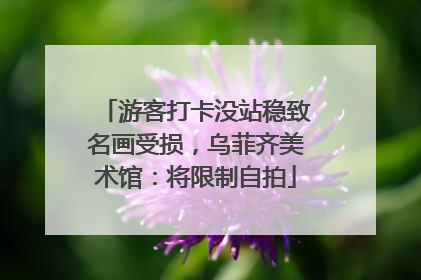 游客打卡没站稳致名画受损，乌菲齐美术馆：将限制自拍