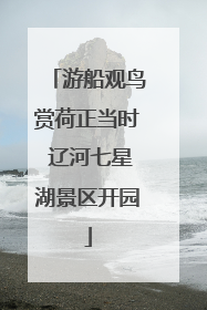 游船观鸟赏荷正当时 辽河七星湖景区开园