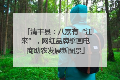 清丰县：八寨有“江来”，网红品牌擘画电商助农发展新图景