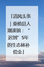 清风头条｜桑植县人潮溪镇：“迟到”5年的生态林补偿金