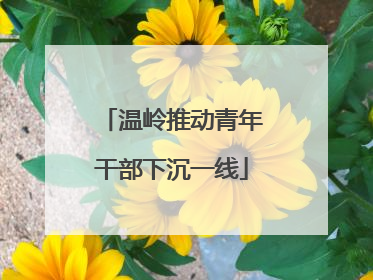 温岭推动青年干部下沉一线