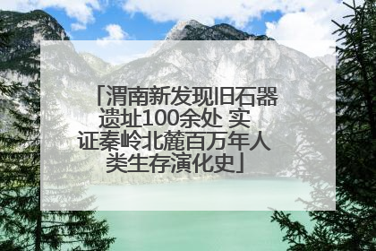 渭南新发现旧石器遗址100余处 实证秦岭北麓百万年人类生存演化史