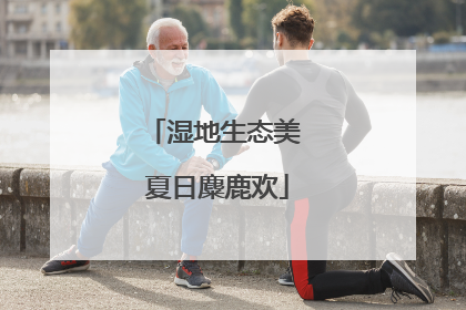 湿地生态美 夏日麋鹿欢