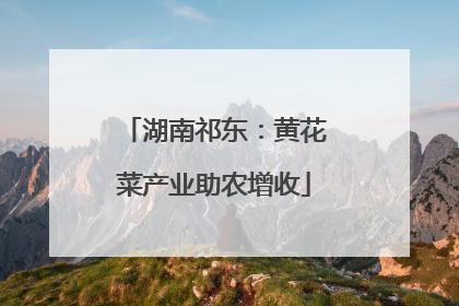 湖南祁东：黄花菜产业助农增收