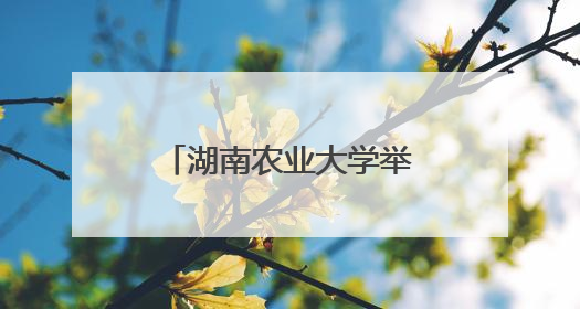 湖南农业大学举办2025年毕业季主题活动