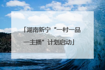 湖南新宁“一村一品一主播”计划启动