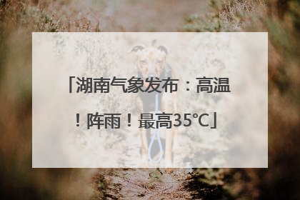 湖南气象发布：高温！阵雨！最高35℃