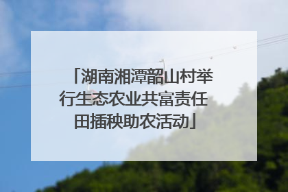 湖南湘潭韶山村举行生态农业共富责任田插秧助农活动