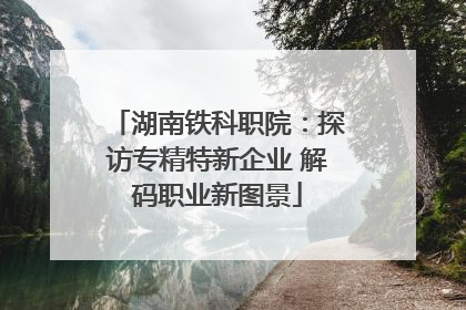 湖南铁科职院：探访专精特新企业 解码职业新图景