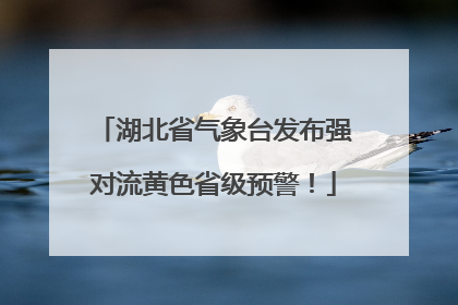 湖北省气象台发布强对流黄色省级预警！