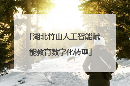 湖北竹山人工智能赋能教育数字化转型
