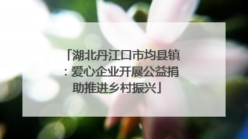 湖北丹江口市均县镇：爱心企业开展公益捐助推进乡村振兴