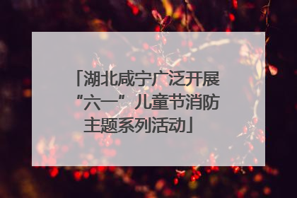 湖北咸宁广泛开展“六一”儿童节消防主题系列活动