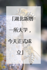湖北新增一所大学，今天正式成立