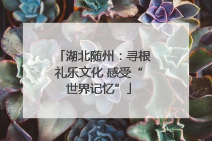 湖北随州：寻根礼乐文化 感受“世界记忆”
