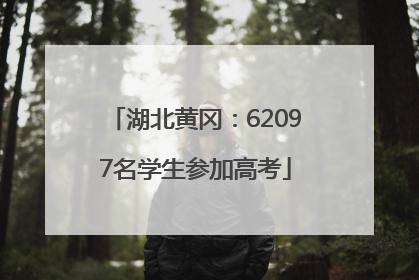 湖北黄冈：62097名学生参加高考