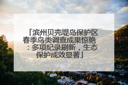 滨州贝壳堤岛保护区春季鸟类调查成果惊艳：多项纪录刷新，生态保护成效显著