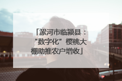 漯河市临颍县：“数字化”樱桃大棚助推农户增收