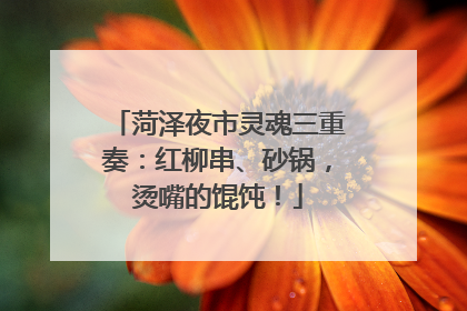 菏泽夜市灵魂三重奏：红柳串、砂锅，烫嘴的馄饨！