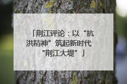 荆江评论：以“抗洪精神”筑起新时代“荆江大堤”
