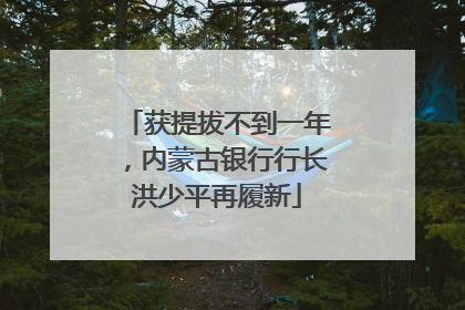 获提拔不到一年，内蒙古银行行长洪少平再履新