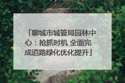聊城市城管局园林中心：抢抓时机 全面完成道路绿化优化提升