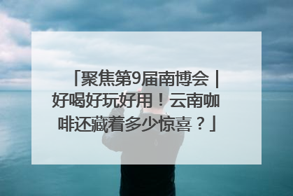 聚焦第9届南博会｜好喝好玩好用！云南咖啡还藏着多少惊喜？