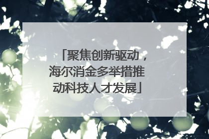 聚焦创新驱动，海尔消金多举措推动科技人才发展