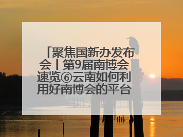 聚焦国新办发布会丨第9届南博会速览⑥云南如何利用好南博会的平台带动作用，深化与南亚国家的交流与合作？