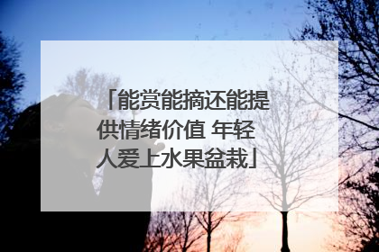 能赏能摘还能提供情绪价值 年轻人爱上水果盆栽