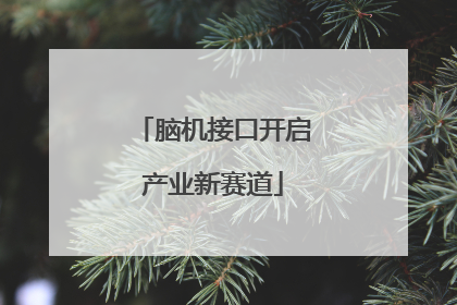 脑机接口开启产业新赛道